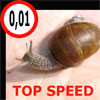 top speed